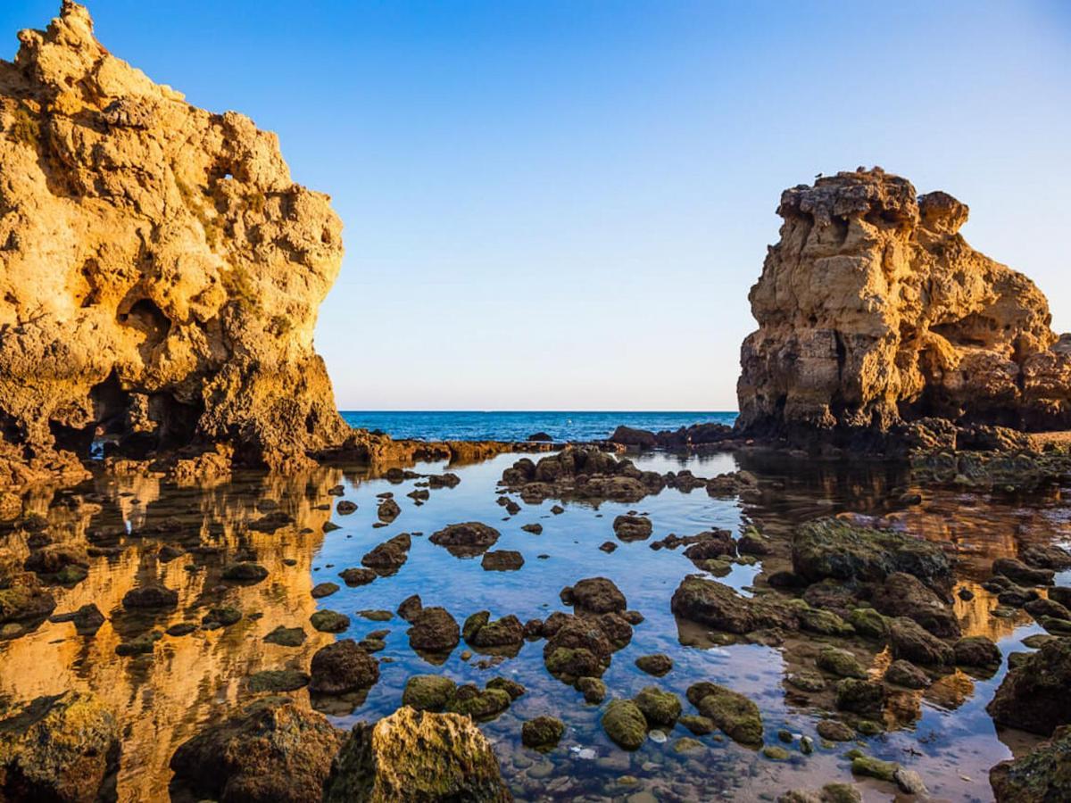 Luxury Apart Wstunning Sea Views, Walk Beach Albufeira Eksteriør billede